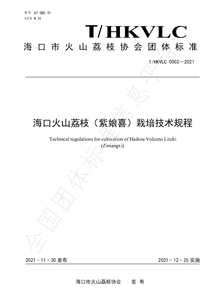 T/HKVLC 0002-2021 标准预览