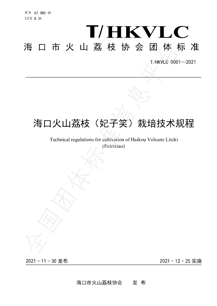 T/HKVLC 0001-2021 标准预览