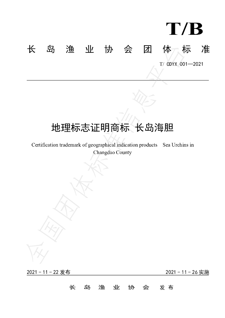 T/CDYX 001-2021 标准预览
