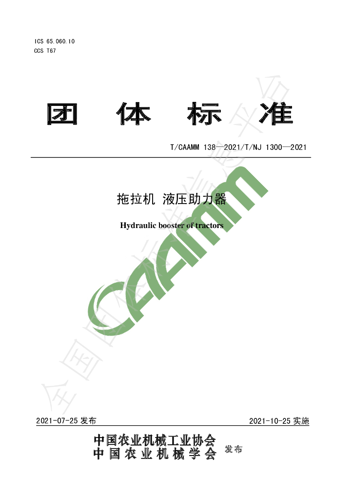 T/CAAMM 138-2021 标准预览
