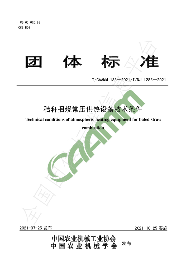 T/CAAMM 133-2021 标准预览