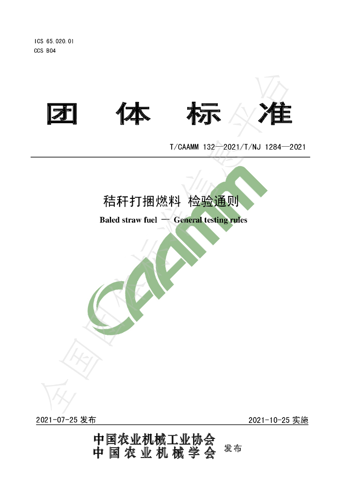 T/CAAMM 132-2021 标准预览