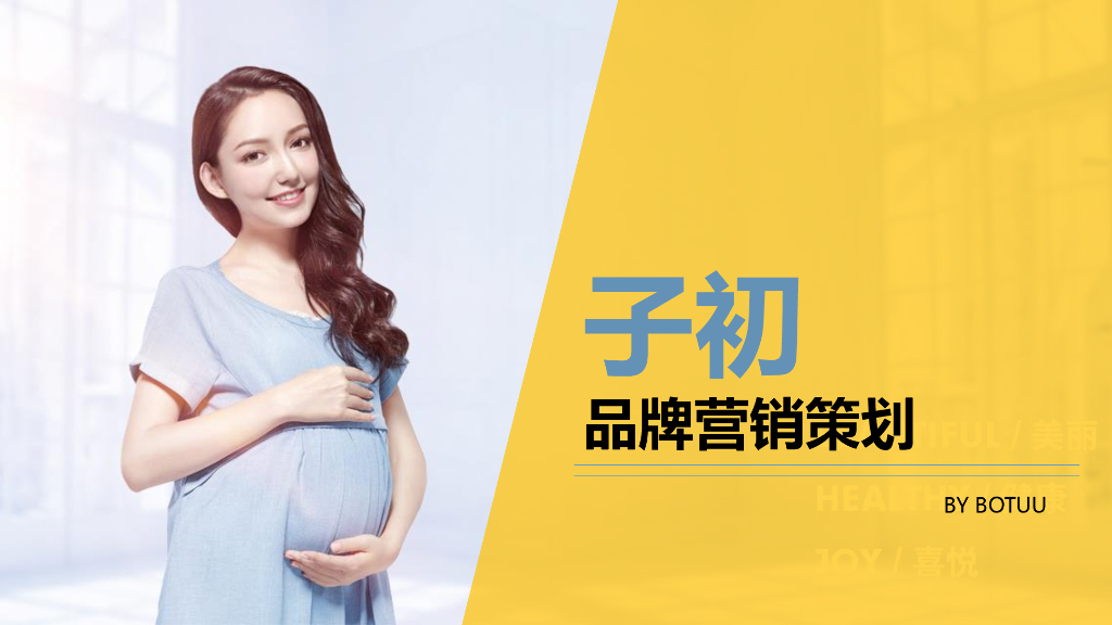 子初品牌营销策划方案