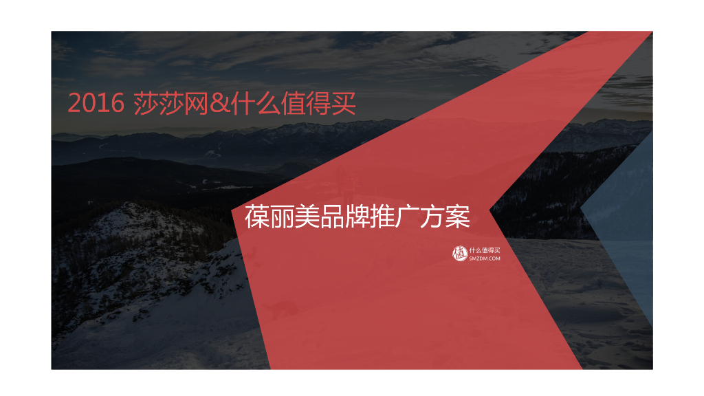 2016葆麗美-莎莎网-什么值得买合作推广方案
