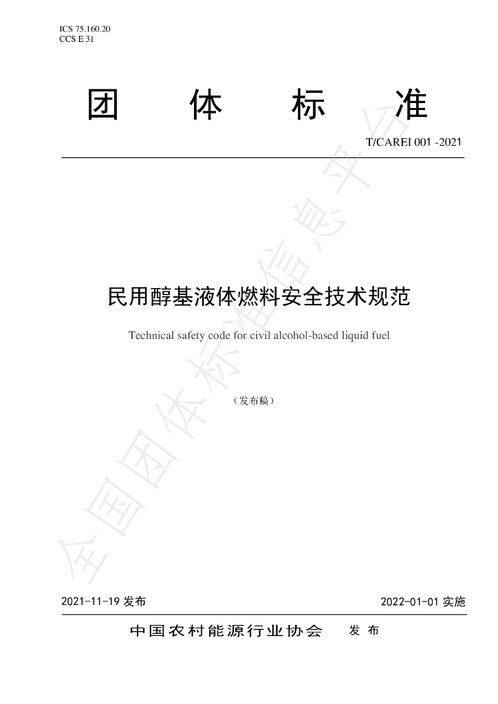 T/CAREI 001-2021 标准预览
