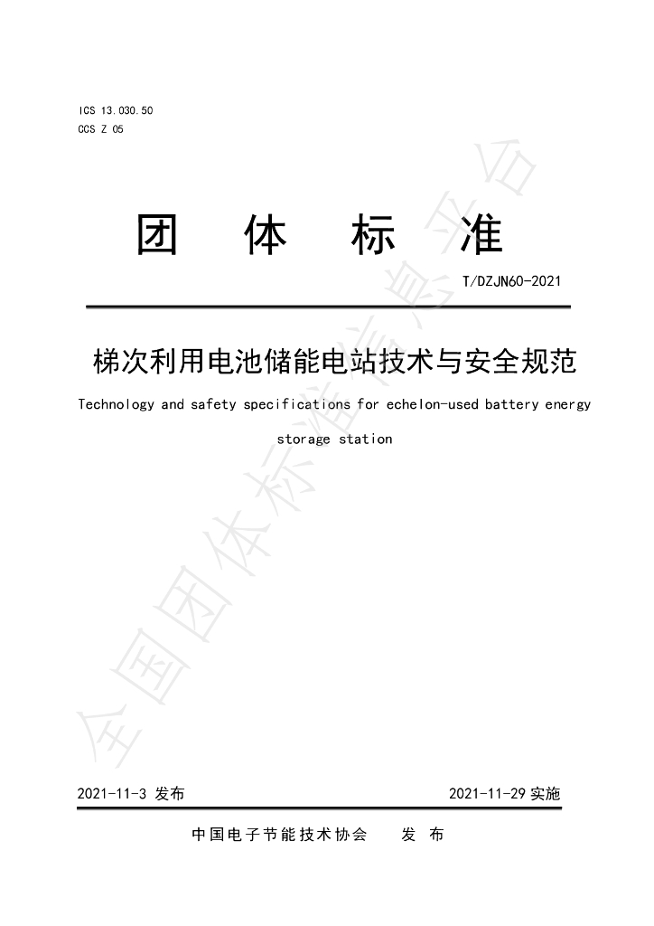 T/DZJN 60-2021 标准预览