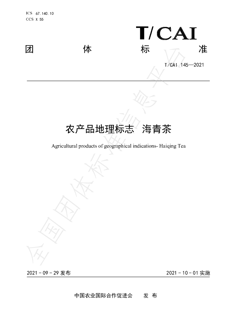 T/CAI 145-2021 标准预览