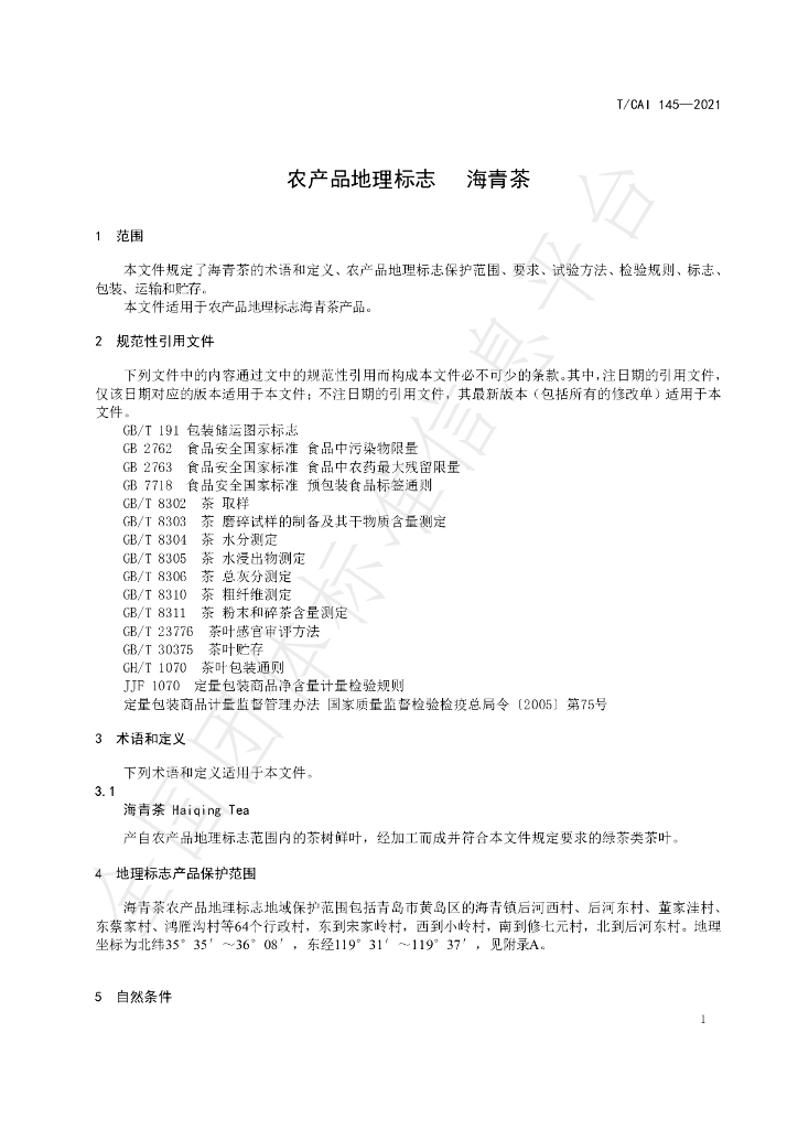 T/CAI 145-2021 标准预览