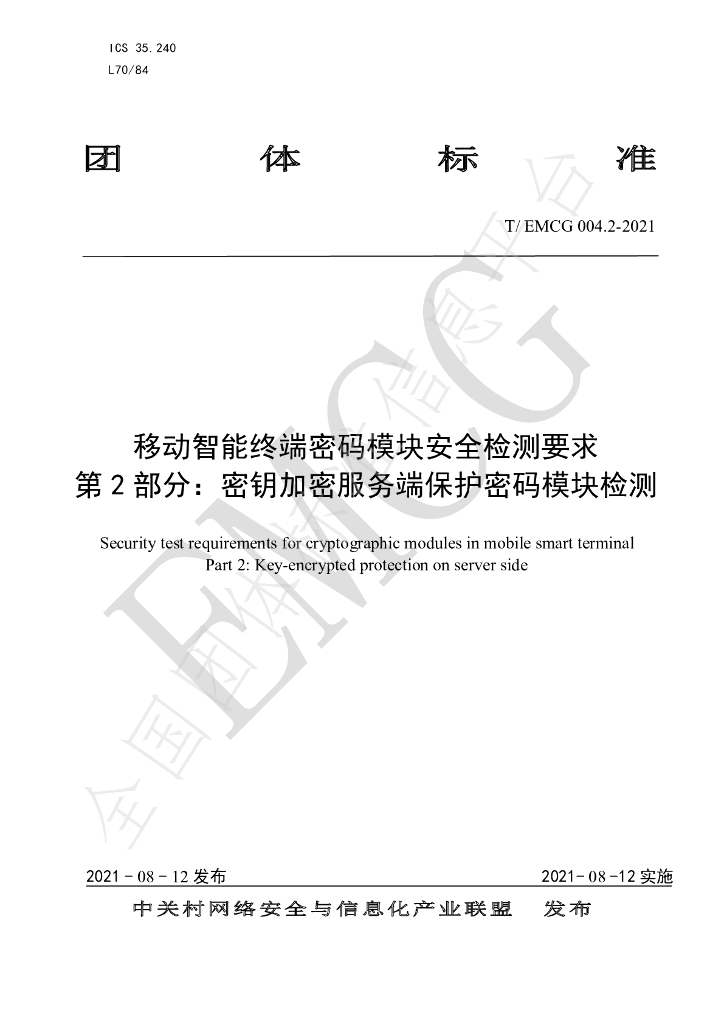 T/EMCG 004.2-2021 标准预览