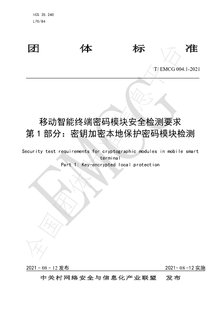 T/EMCG 004.1-2021 标准预览