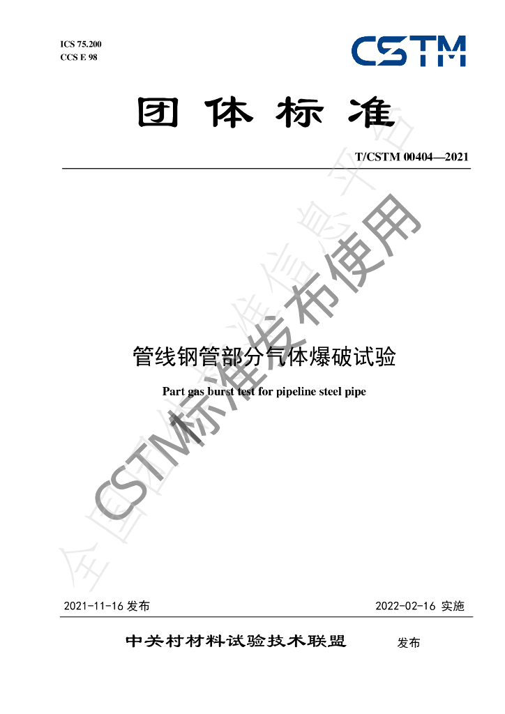 T/CSTM 00404-2021 标准预览