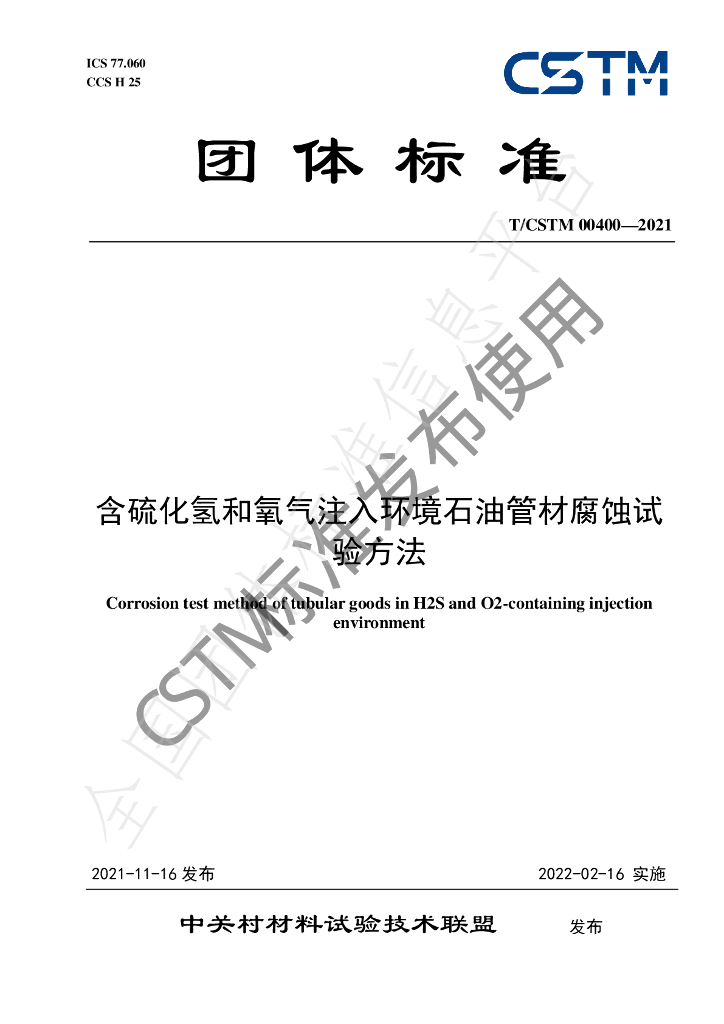 T/CSTM 00400-2021 标准预览