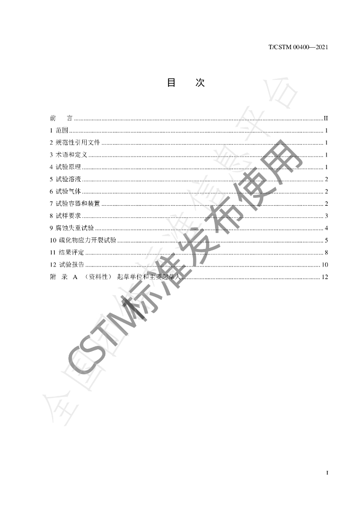 T/CSTM 00400-2021 标准预览