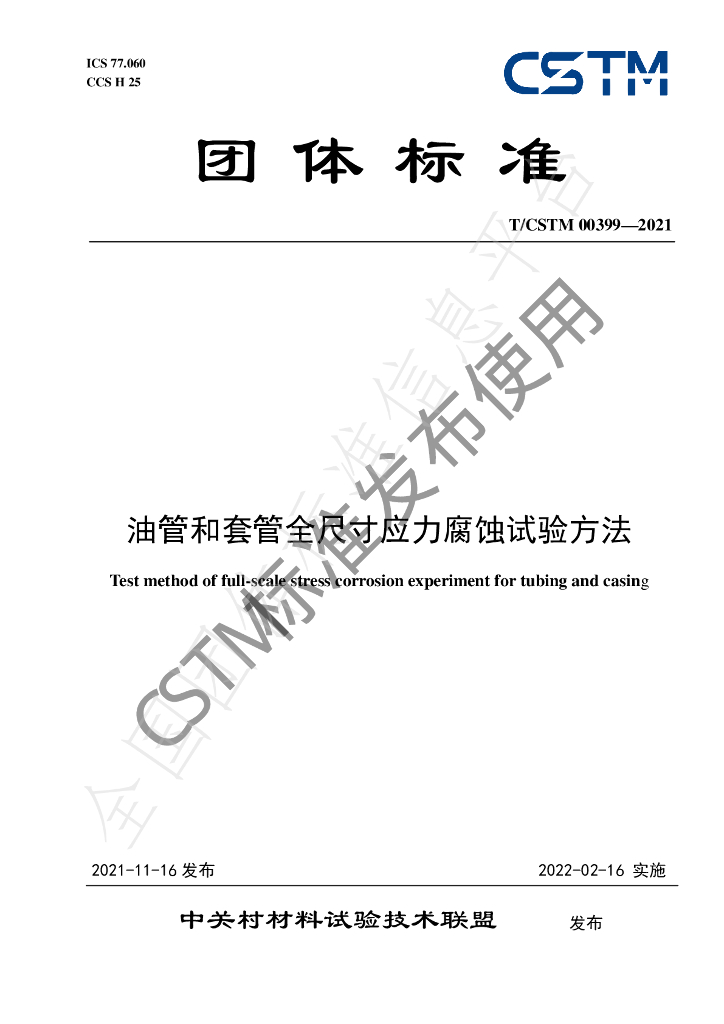 T/CSTM 00399-2021 标准预览