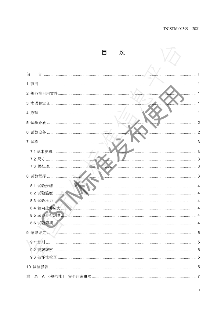 T/CSTM 00399-2021 标准预览