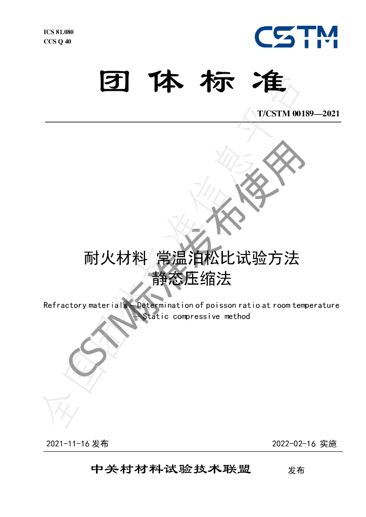 T/CSTM 00189-2021 标准预览