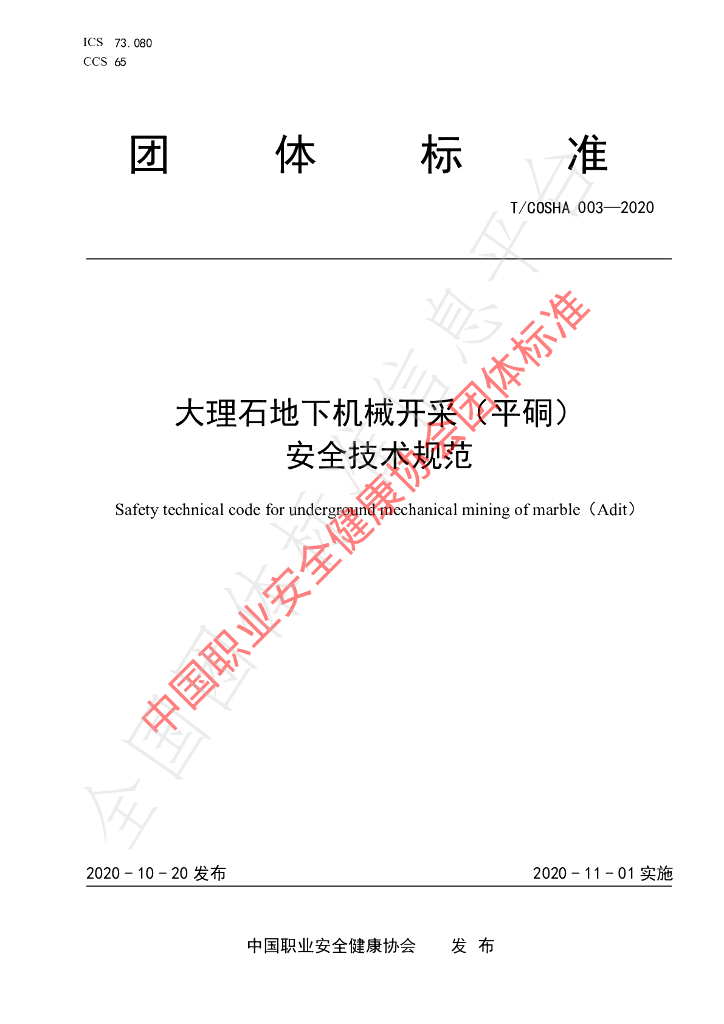 T/COSHA 003-2020 标准预览