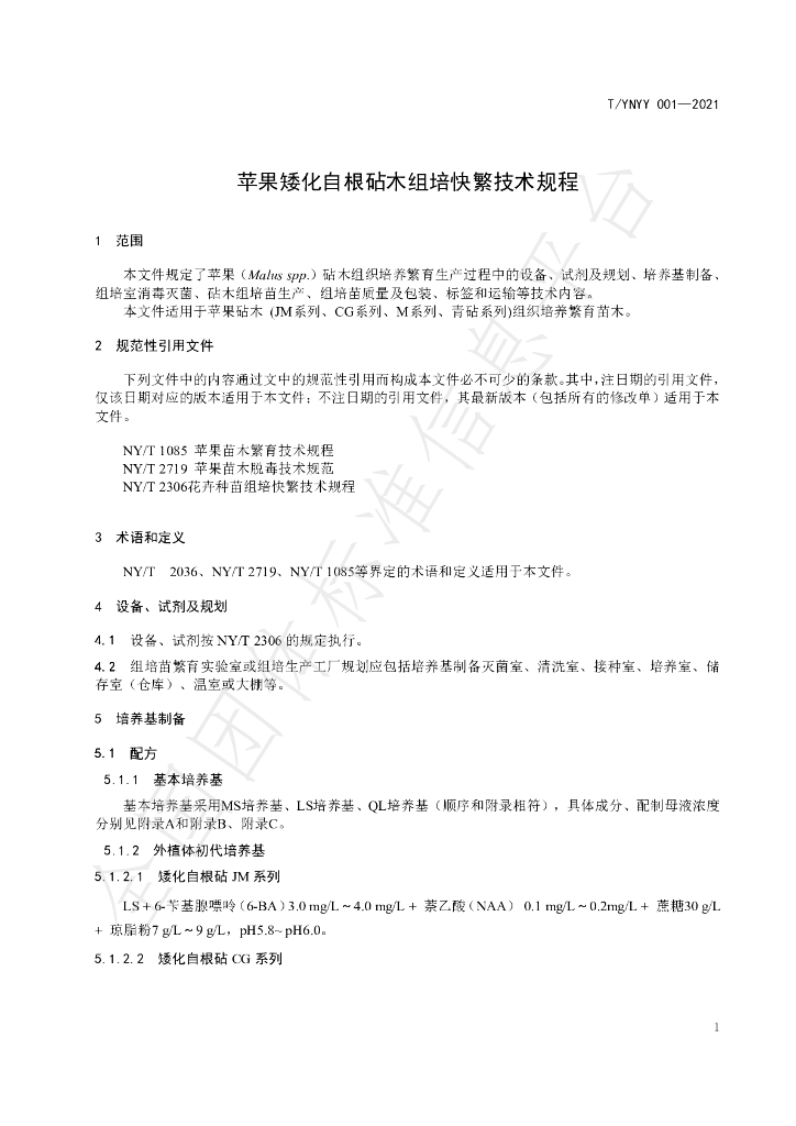 T/YNYY 001-2021 标准预览