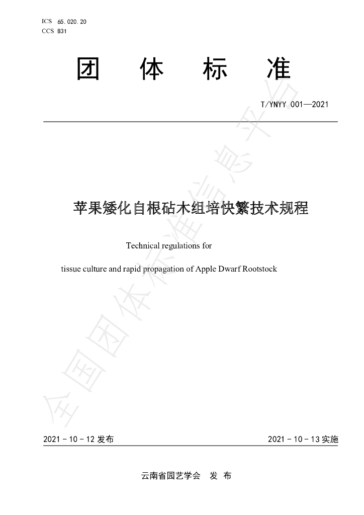 T/YNYY 001-2021 标准预览