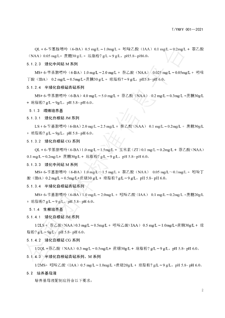 T/YNYY 001-2021 标准预览