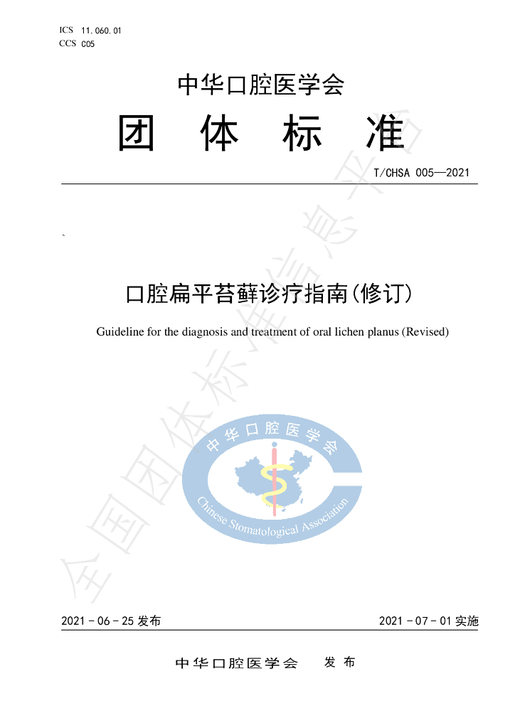 T/CHSA 005-2021 标准预览