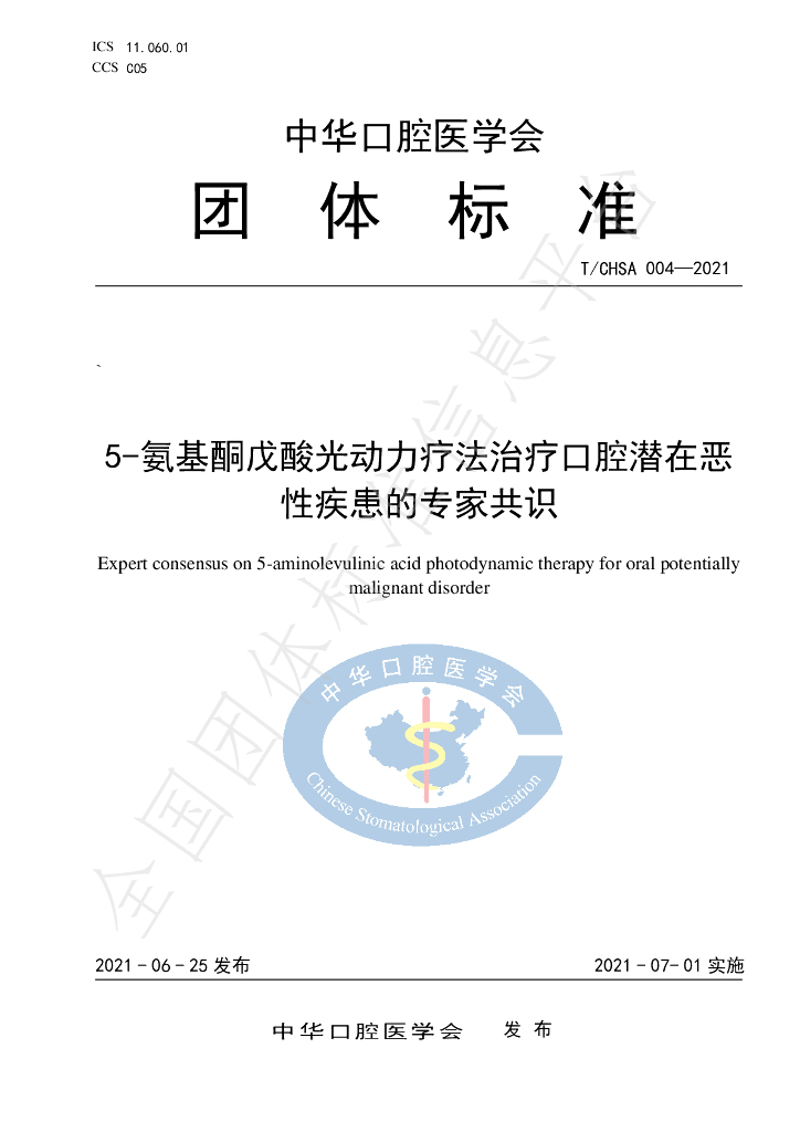 T/CHSA 004-2021 标准预览
