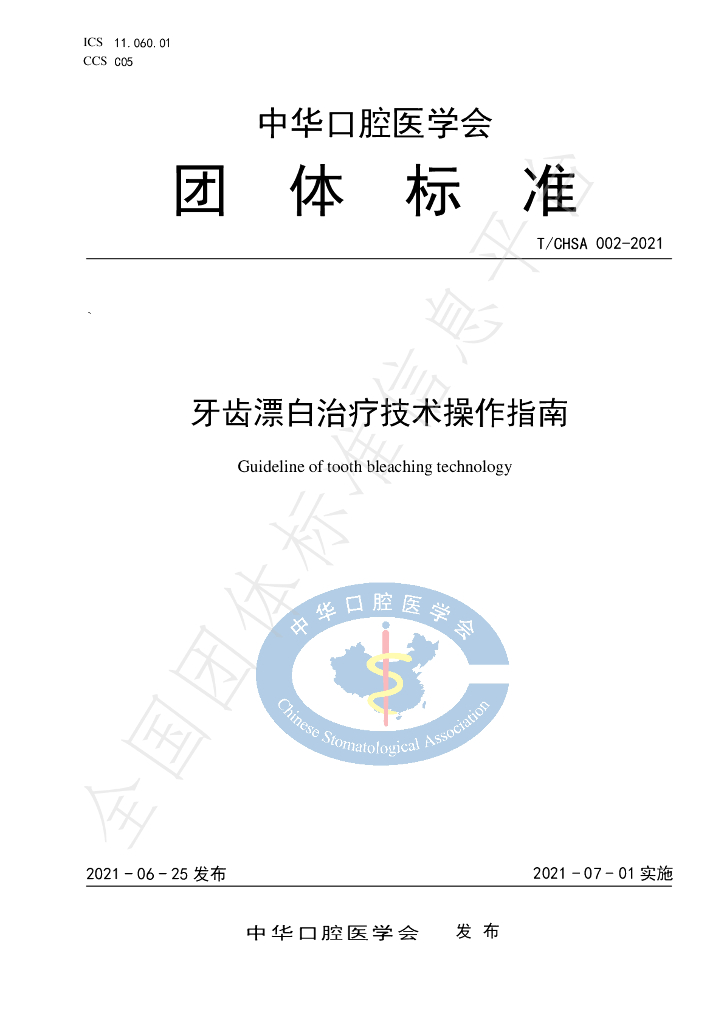 T/CHSA 002-2021 标准预览