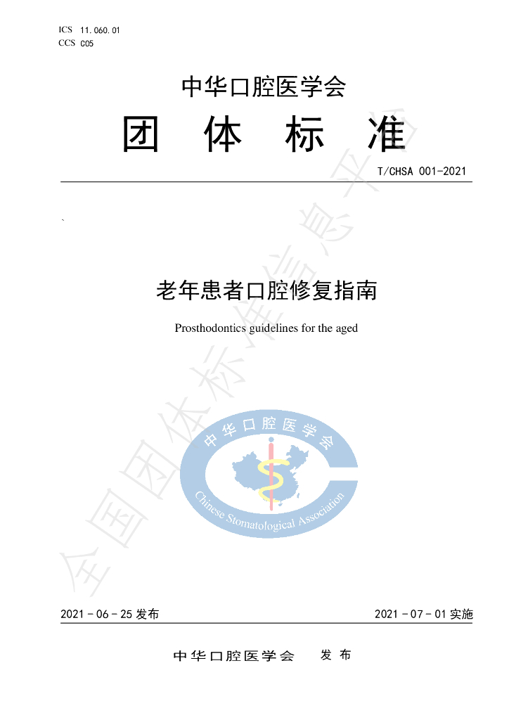 T/CHSA 001-2021 标准预览