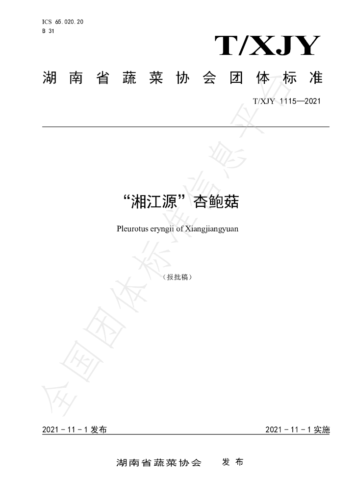 T/XJY 1115-2021 标准预览