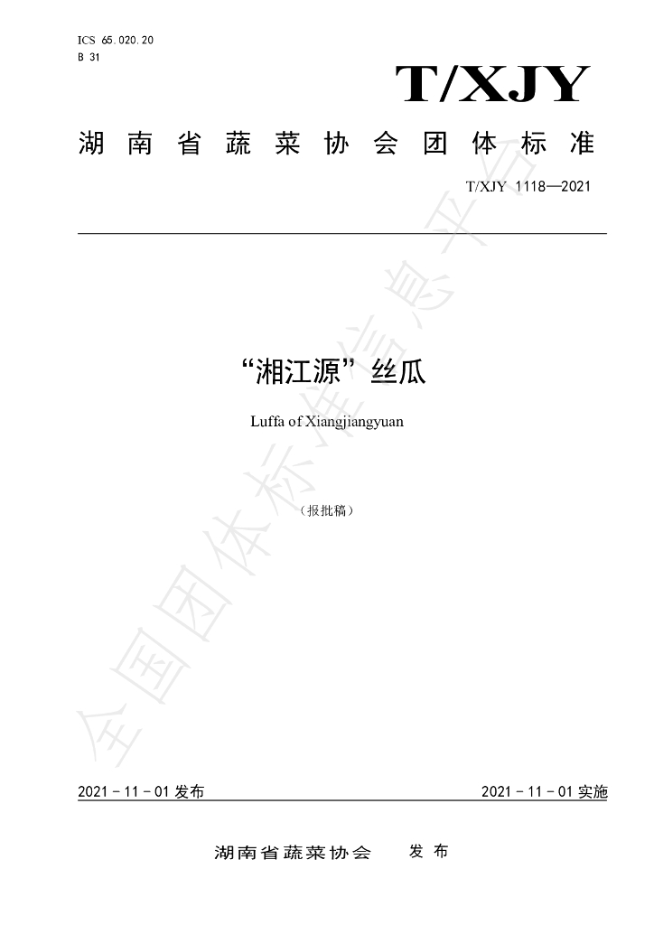 T/XJY 1118-2021 标准预览