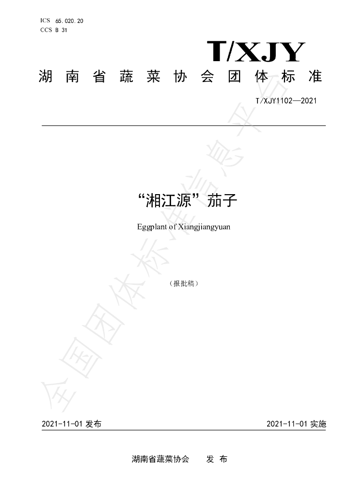T/XJY 1102-2021 标准预览