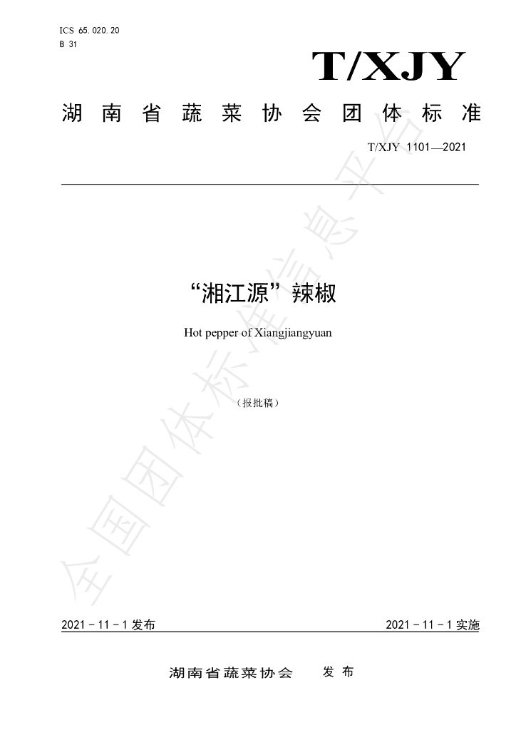 T/XJY 1101-2021 标准预览