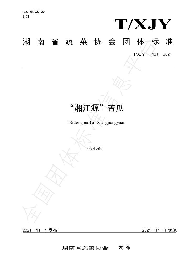T/XJY 1121-2021 标准预览