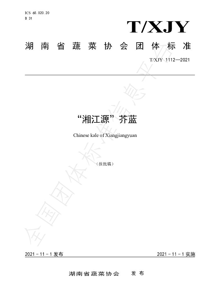 T/XJY 1112-2021 标准预览