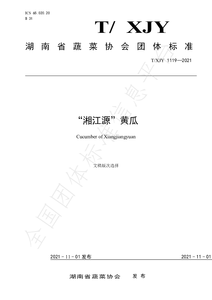 T/XJY 1119-2021 标准预览