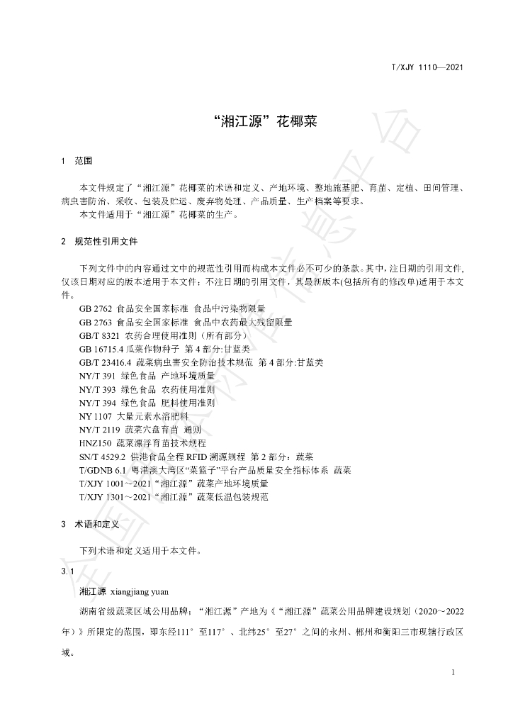 T/XJY 1110-2021 标准预览