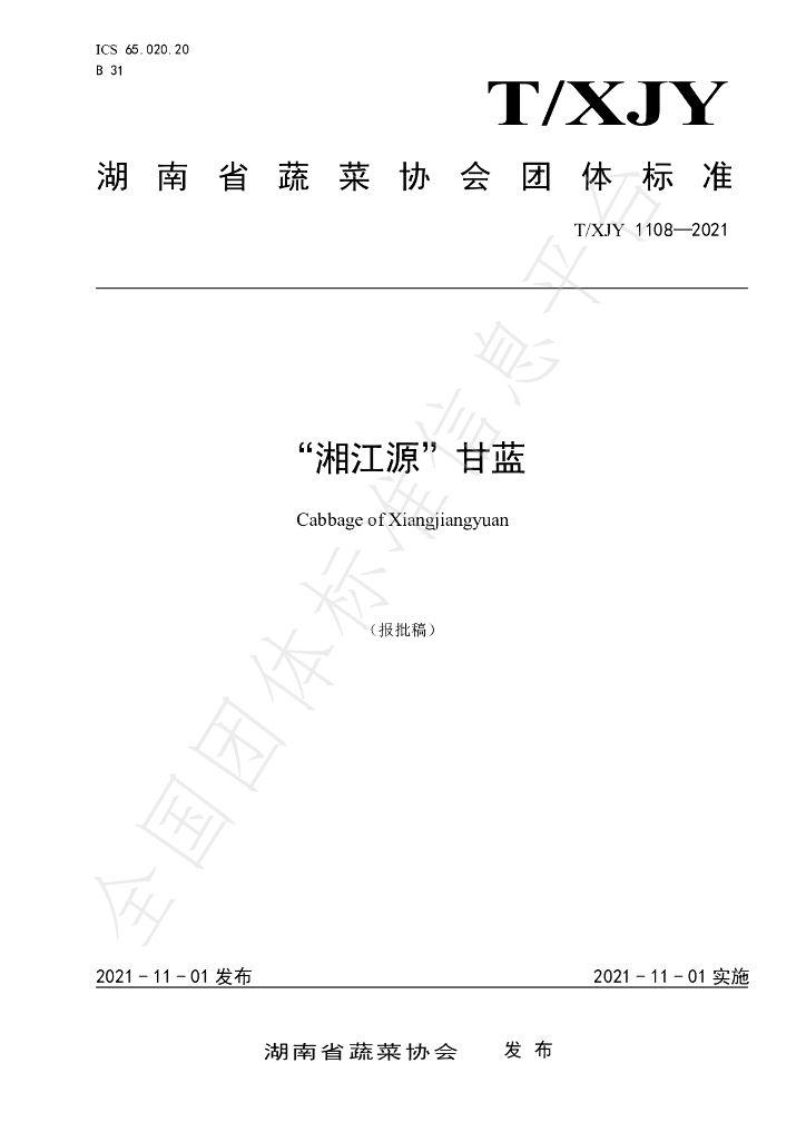 T/XJY 1108-2021 标准预览