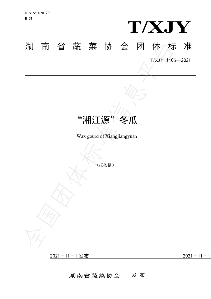 T/XJY 1105-2021 标准预览