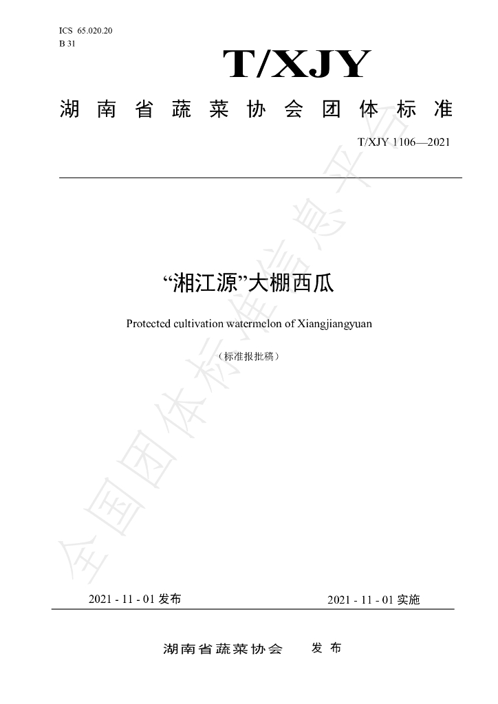 T/XJY 1106-2021 标准预览