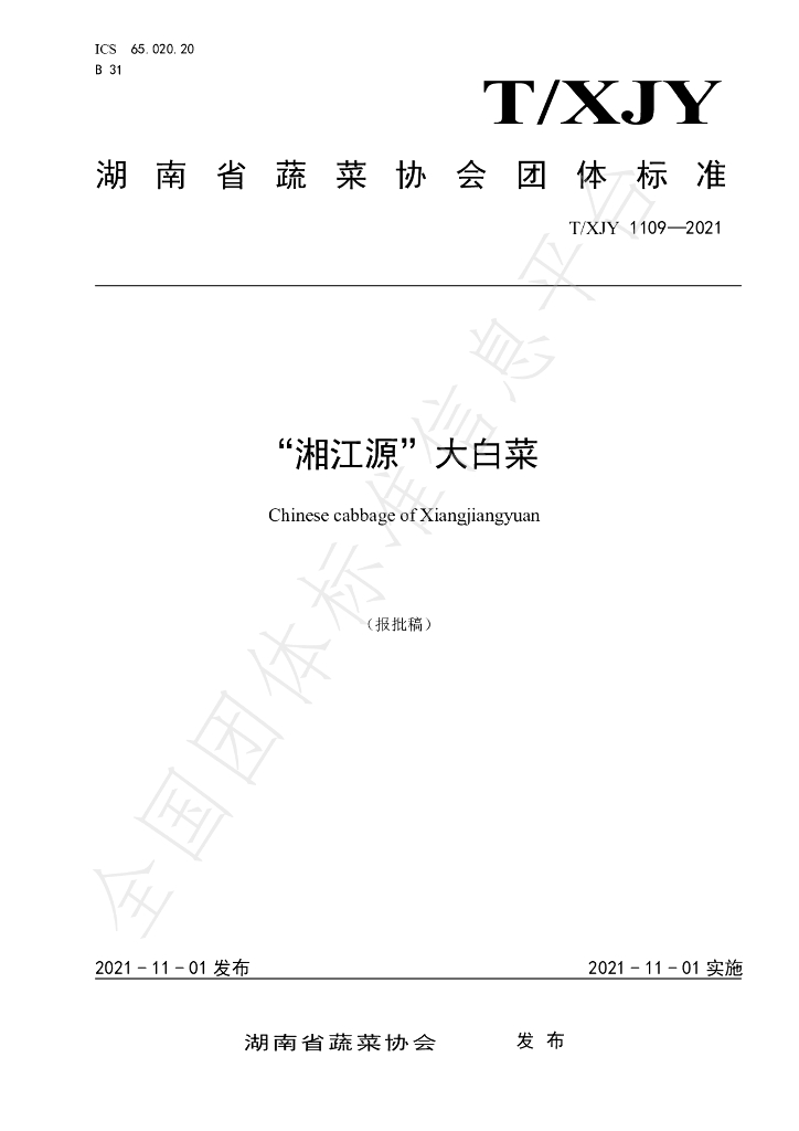 T/XJY 1109-2021 标准预览