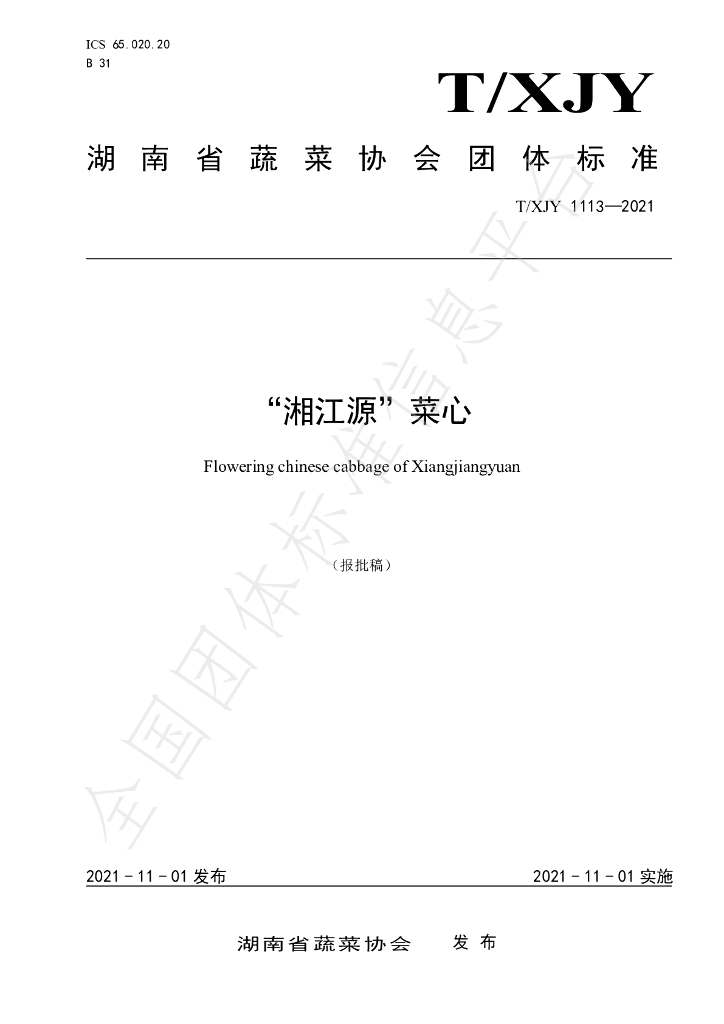 T/XJY 1113-2021 标准预览