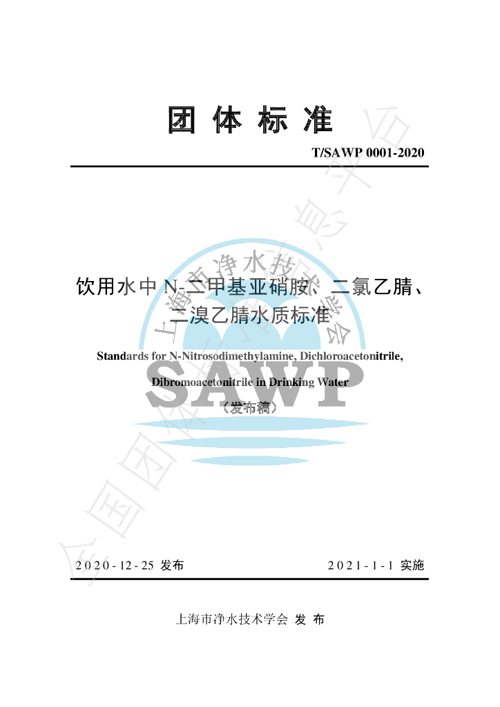 T/SAWP 0001-2020 标准预览