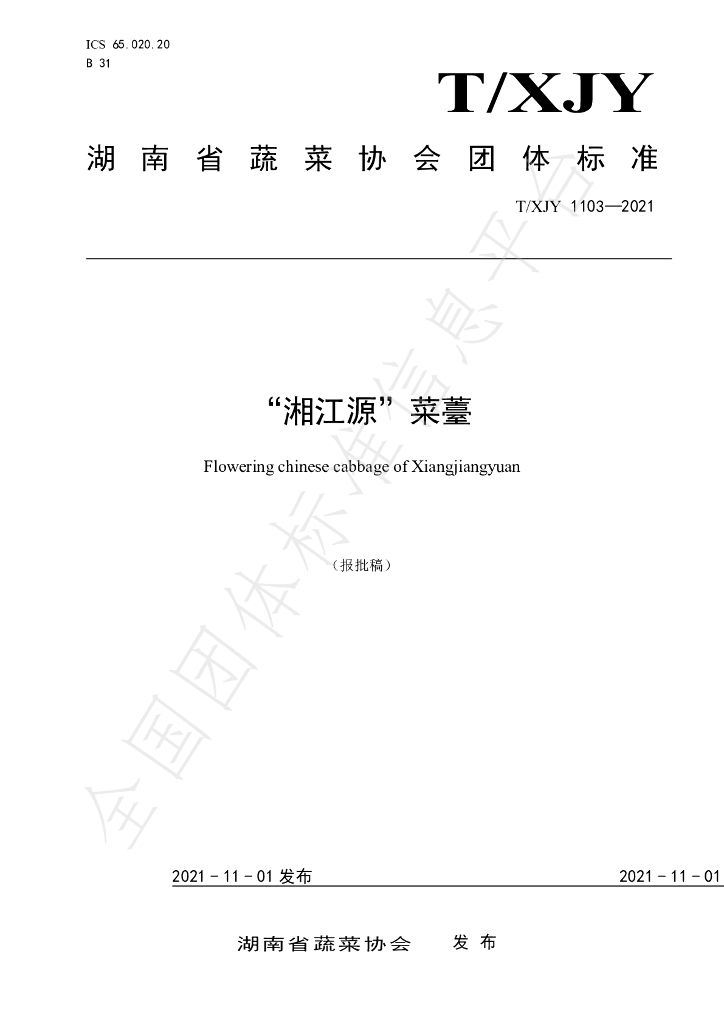 T/XJY 1103-2021 标准预览