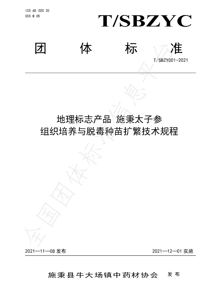 T/SBZYC 01-2021 标准预览