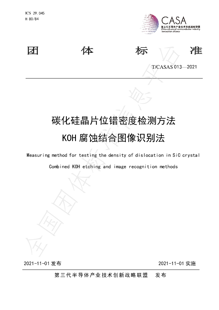 T/CASAS 013-2021 标准预览