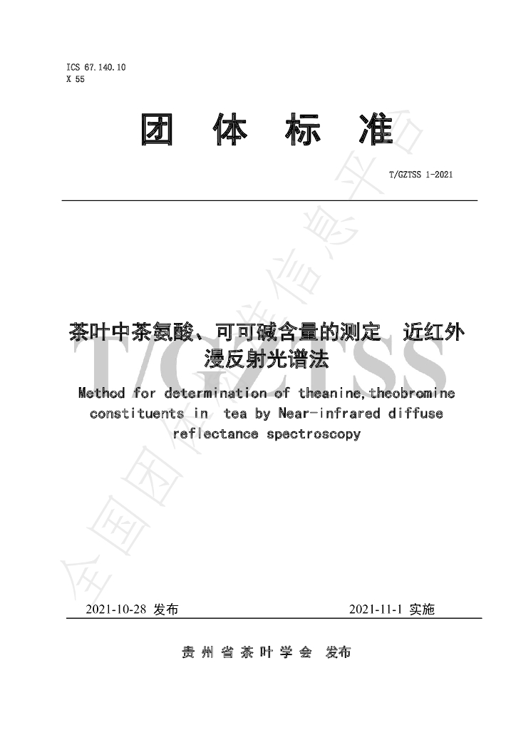 T/GZTSS 1-2021 标准预览