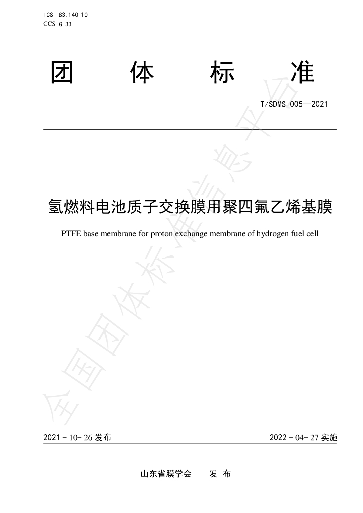 T/SDMS 005-2021 标准预览
