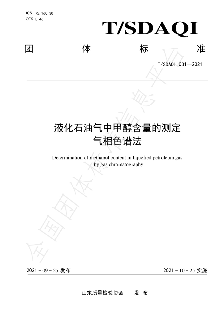 T/SDAQI 031-2021 标准预览
