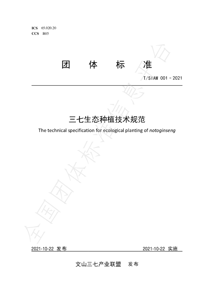 T/SIAW 001-2021 标准预览
