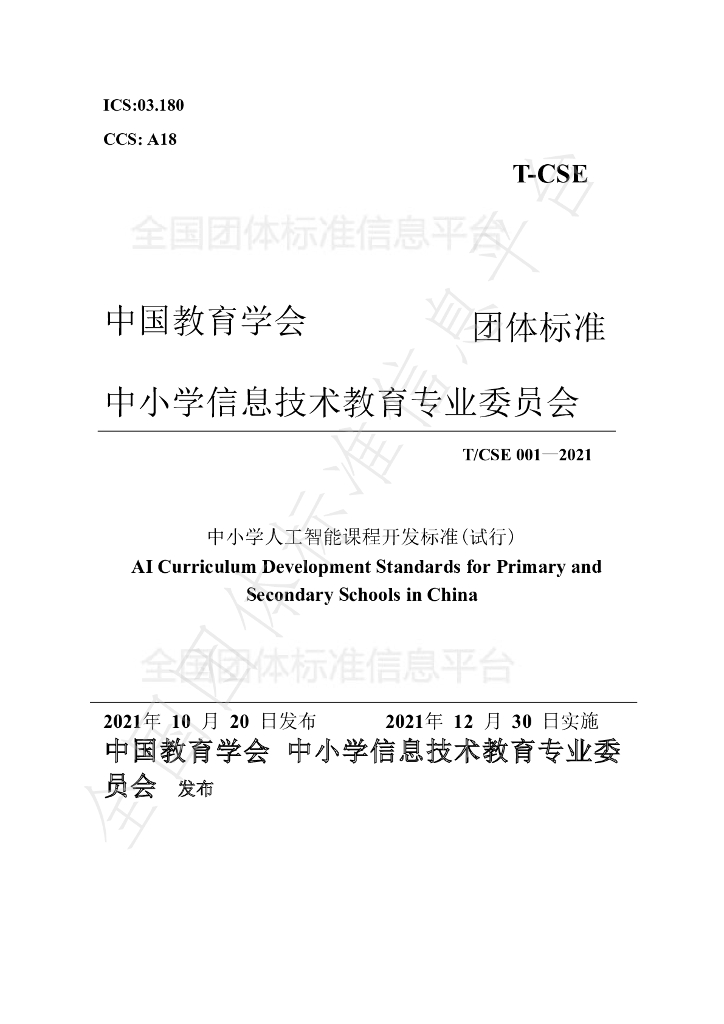 T/CSE 001-2021 标准预览